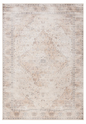 Hesson 8x10 Rug (In Store Pickup Only)